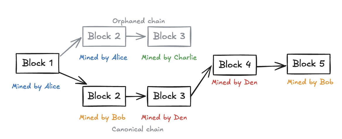 Indexing & Reorgs